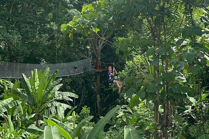 7 Hour Sticky Waterfall and Zipline Adventure - Your 9:00 am schedule and the Mae Taeng route