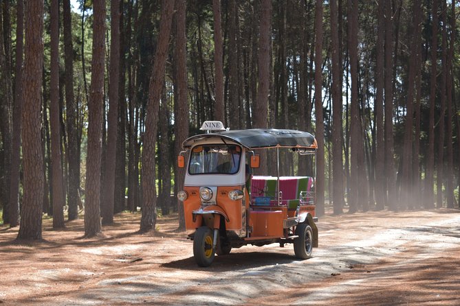 A stunning 11 Day Tuk Tuk Adventure in Northern Thailand - with driver - Day 7 to Day 8: a temple visit, infinity pool breathing space, then the big road to Pai