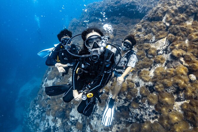 Advanced Adventurer - 2 days ( Advanced Open Water) - Perfect Buoyancy: the skill that makes everything easier
