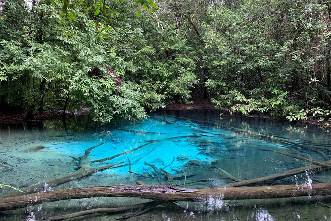 All day Krabi Jungle Tour (Hot Spring Water, Emerald Pool, Tiger Cave Temple) - Shoes, water, and monkey-proofing tips that actually help