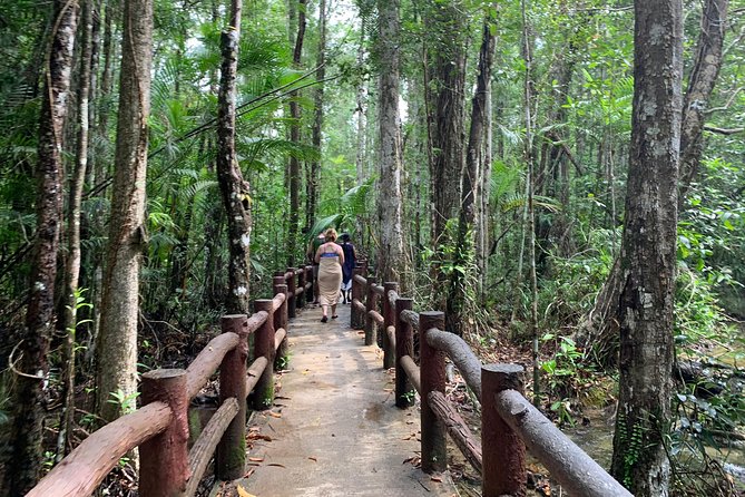 All day Krabi Jungle Tour (Hot Spring Water, Emerald Pool, Tiger Cave Temple) - Stop 1: Namtok Ron hot spring waterfall, warm water in the jungle