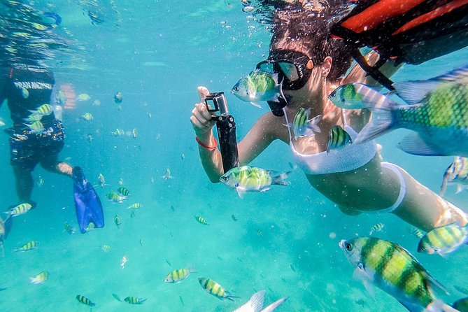 All-in Phi Phi, Maiton, MayaBay, Khai, Bamboo islands Tour - Why this $74.95 Phi Phi day feels like real value