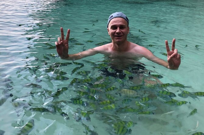 All-in Phi Phi, Maiton, MayaBay, Khai, Bamboo islands Tour - Koh Phi Phi Don lunch hour, fruits, and a Phi Phi overview