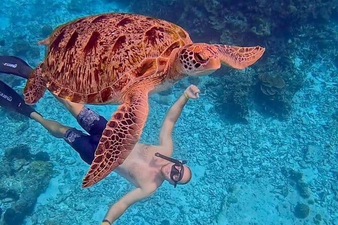 All Inclusive Full-Day Tour Phi Phi Islands from Phuket - Phi Phi Lee Lagoon Swim and Maya Bay Beach Time