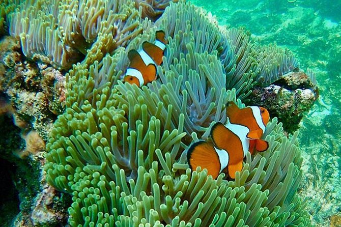 Amazing Krabi 7 Islands One Day Snorkeling Tour By Big Longtail Boat - Lunch vs dinner choice: how the timing affects your experience