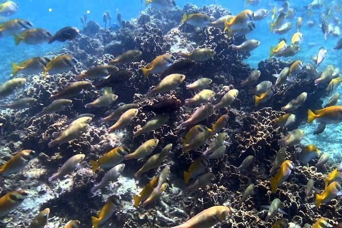 Ang Thong National Marine Park Full Day Tour - Ang Thong National Marine Park, what you’re really buying