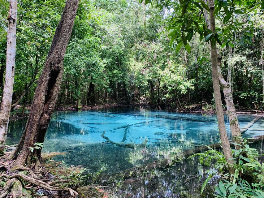 Ao Nang: Hot Spring, Emerald Pool & Tiger Cave Temple Tour - Thai Set Lunch: Where the Day Earns Its Break