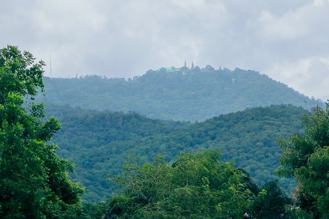 Aroidee’s Farm-Fresh Thai Cooking Experience - Who should book this class in Chiang Mai?