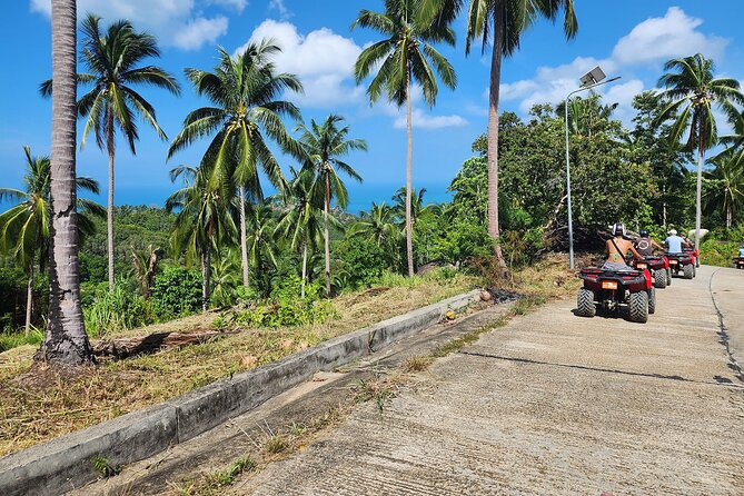 ATV 1.5 Hours Jungle Safari Tour On Koh Phangan - Group size and pace, what to expect from up to 15 riders