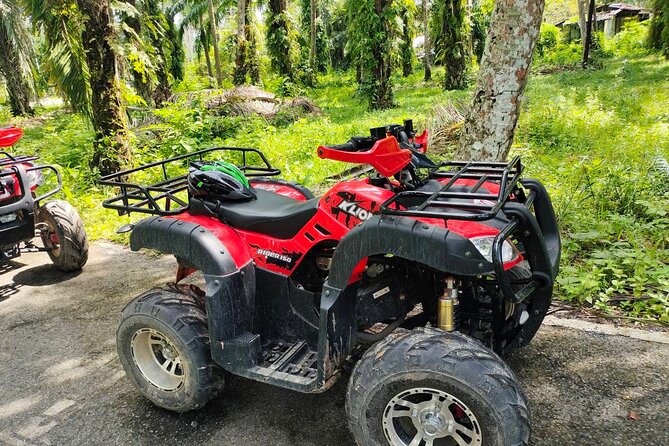 ATV Jungle Adventure in Krabi with Roundtrip Transfer - Jungle and Plantation Scenery You Can Actually See While Riding
