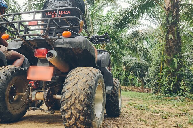 ATV Ride and Lampi Waterfall - Stop 2 at Lampi Waterfall: Swimming in a 3-Tier National Park Stop