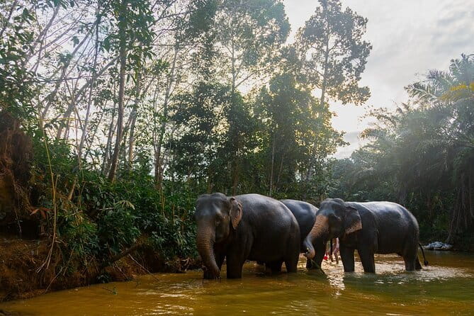 ATV Ride Through Mountain and Waterfall Trails in Khao Lak - The Waterfall Stop: Swimming, Then Getting Dry