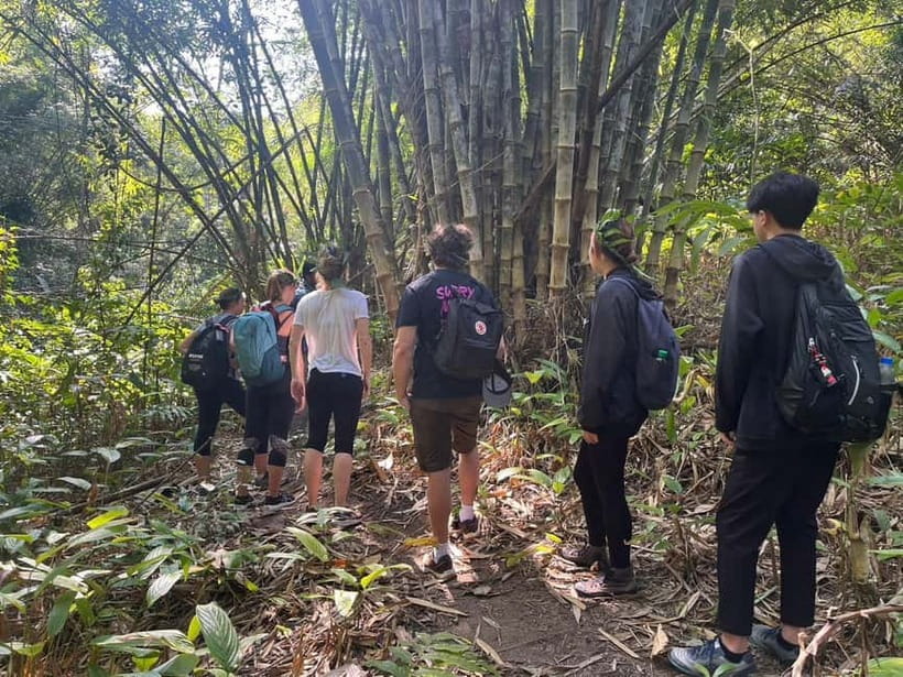 Authentic trek only walk in Chiang Rai jungle - Your 9-hour day: timing, rhythm, and what you do first