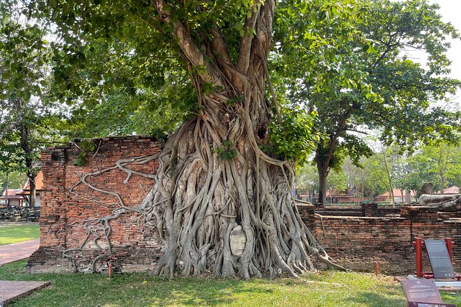 Ayutthaya Historical Old Capital day Tour from Bangkok - Who this tour suits best, and who might want alternatives