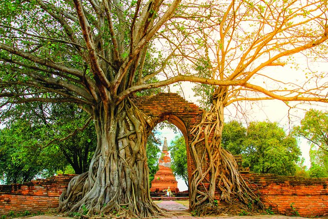 Ayutthaya Sunset Boat & UNESCO Temples: Multi-language private tour from Bangkok - Price and logistics, what $196.56 really buys you