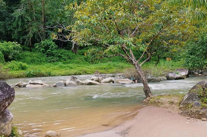 Bamboo Rafting and Jungle Tour From Phuket - Lunch After the Paddle: Thai Food That Actually Hits