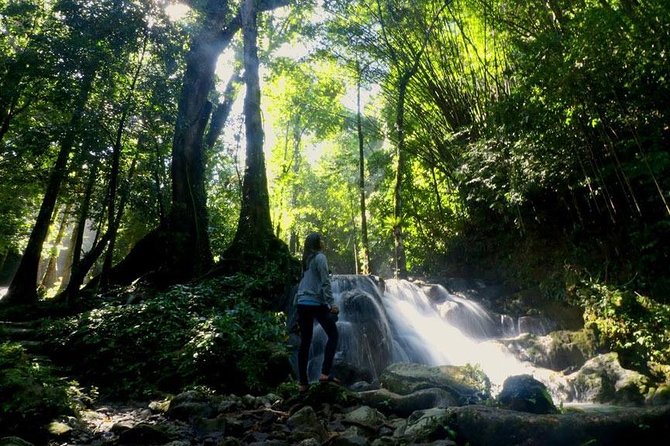 Bamboo Rafting and Jungle Tour From Phuket - Safety, Insurance, and the Guide Moment That Makes It Easier