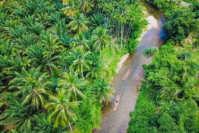 Bamboo Rafting and Sea Turtle Conservation Center Half Day Tour From Khao Lak - Why this Khao Lak half-day tour feels so efficient