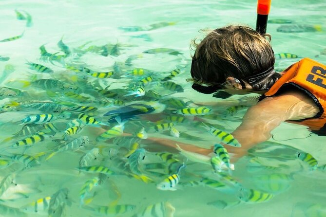 Banana Beach Snorkeling Adventure: A Day in Paradise - Getting there from Phuket: shared minivan pace, then speedboat boost