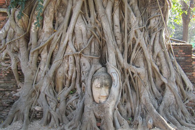 Bangkok and Ayutthaya 3 Days - Day 2: Maeklong Railway Market and Damnoen Saduak