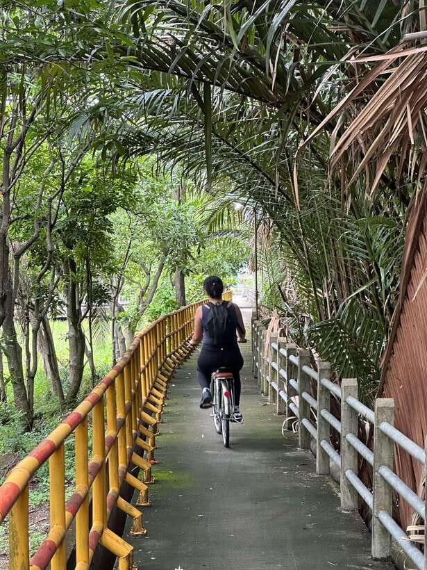 Bangkok: Bang Kachao Green Lung Bike Tour - Timing, comfort, and what to bring for a smooth ride