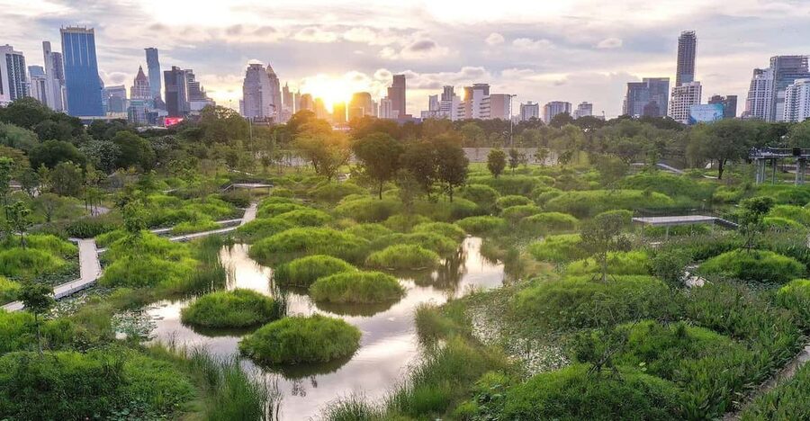 Bangkok Bicycle rental Benjakitti Park - Key highlights worth your time