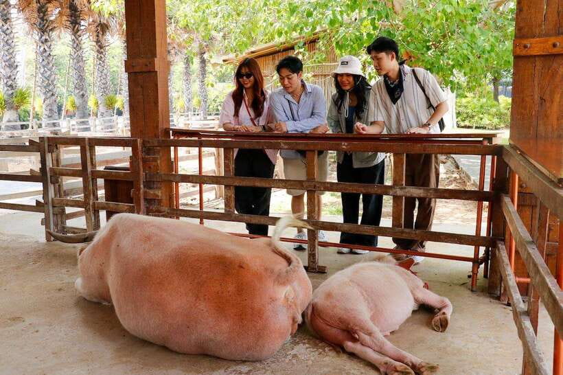 Bangkok: Damnoen Saduak and Train Market with Boat Ride - The Big Idea: Two Famous Markets, One Day Plan