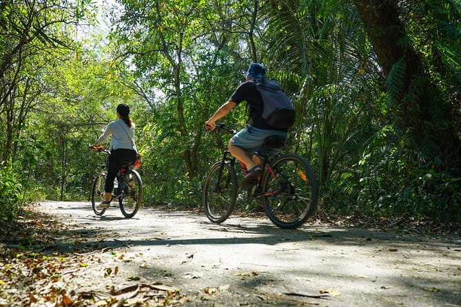 Bangkok Green Oasis Nature Bike Tour - Why Bang Krachao Feels Like a Bangkok Reset