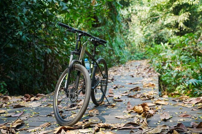 Bangkok Green Oasis Nature Bike Tour - Stop 1: Chao Phraya River cycling, then into greener streets