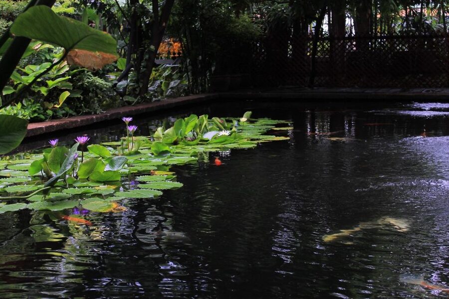Bangkok: Jim Thompson House and Baan Krua Community Tour - How the guide and driver can make or break a half-day