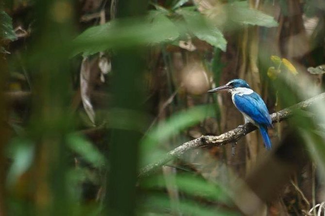 Bangkok Jungle Bike Tour - Hotel-pickup & Lunch - Sri Nakhon Khuean Khan Park and Botanical Garden Time
