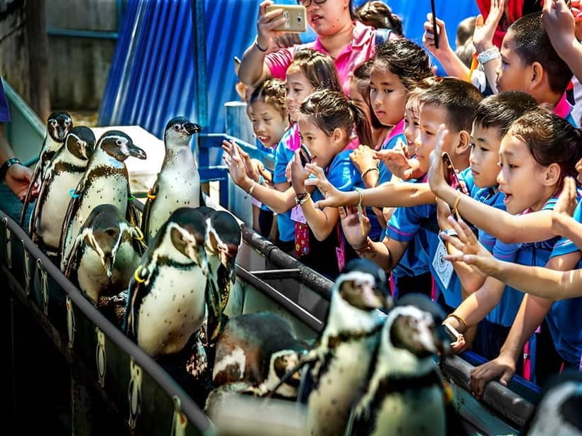 Bangkok/Pattaya: Khao Kheow Zoo Private Tour with Pickup - How the private 6-hour plan works, without feeling rushed