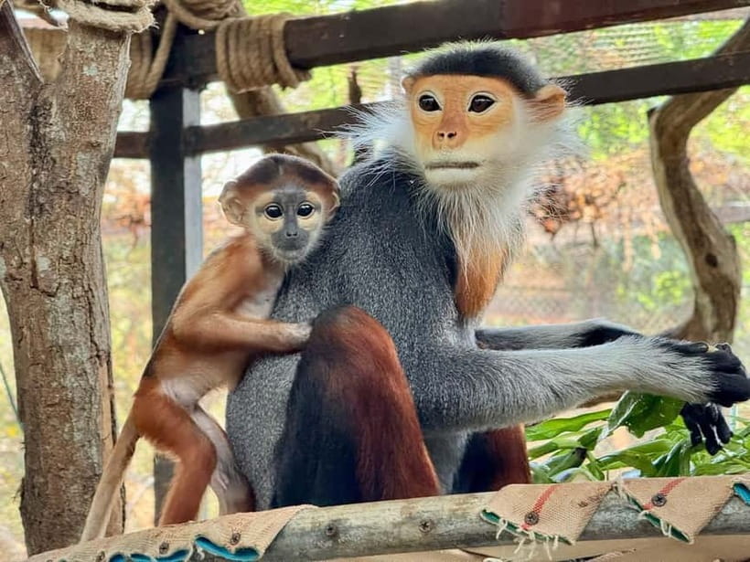 Bangkok/Pattaya: Khao Kheow Zoo Private Tour with Pickup - Who should book this private Khao Kheow tour?