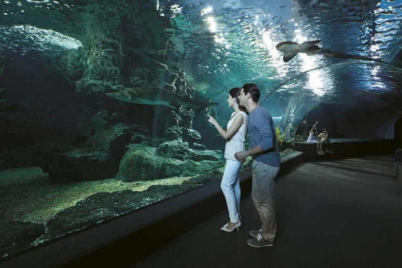 Bangkok: SEA LIFE Bangkok & Madame Tussauds Entry Ticket - SEA LIFE Bangkok Ocean World: Ocean World in One Indoor Route