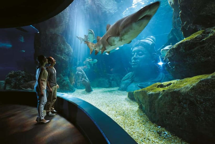 Bangkok: SEA LIFE Bangkok Ocean World Entry Ticket - Key Points You Should Know Before You Go