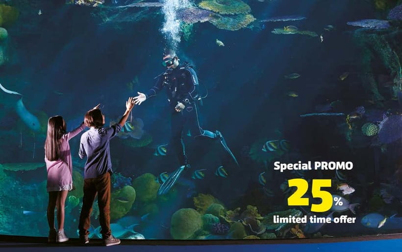 Bangkok: SEA LIFE Bangkok Ocean World Entry Ticket - Daily Shows and Diver Demonstrations: When the Aquarium Becomes a Schedule