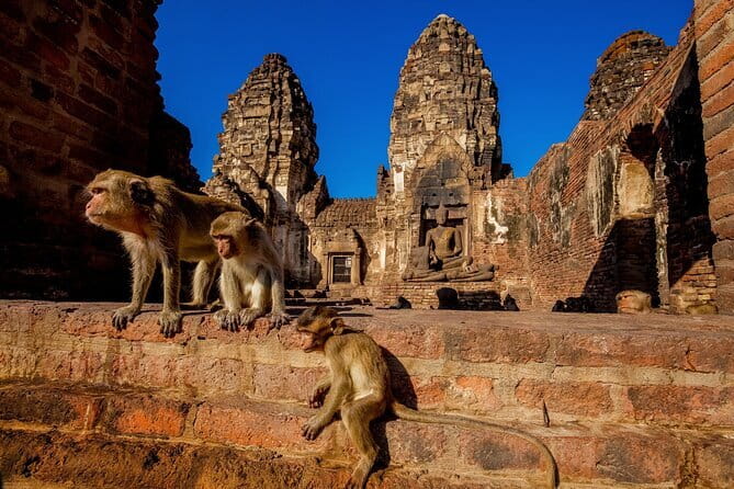 Bangkok to Ayutthaya Lopburi Monkey Temple, Largest Buddha Tour - Key Highlights Worth Planning For