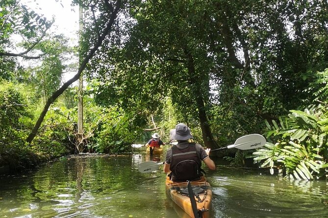 Bangkok Tour by Boat and Bike - Lunch at a local restaurant, and why it is part of the value