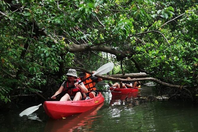 Bangkok Tour by Boat and Bike - The guide is where the culture part actually clicks