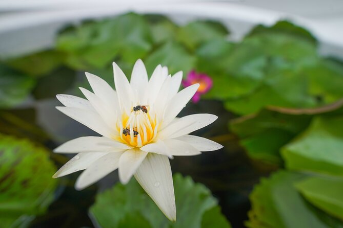 Bangkok Wat Pho and Flower Market Historical Walking Tour - River cruise time: taking a boat as part of the story