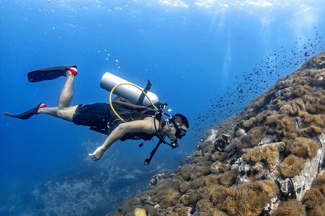 Basic Diver ( One Day Experience) - Key points worth knowing before you go