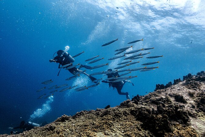 Basic Diver ( One Day Experience) - Koh Tao Scuba Club, 9:00 am start, and a calmer group size