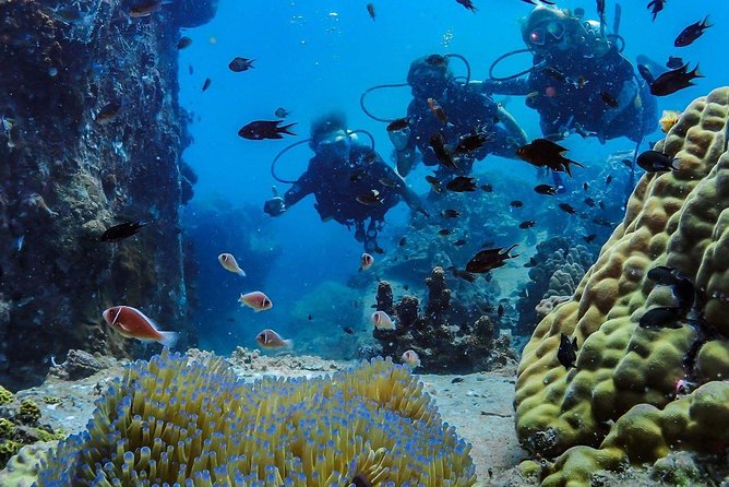Basic Diver ( One Day Experience) - Optional second session to 12 meters: when the extra cost makes sense