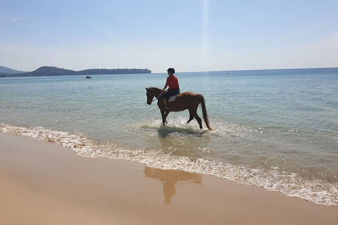 Beach Horse Riding Activity in Phuket - The guide and the small-group advantage