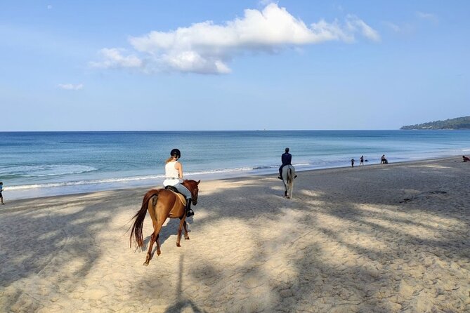 Beach Horse Riding Activity in Phuket - Horses, safety rules, and the one thing to ask yourself