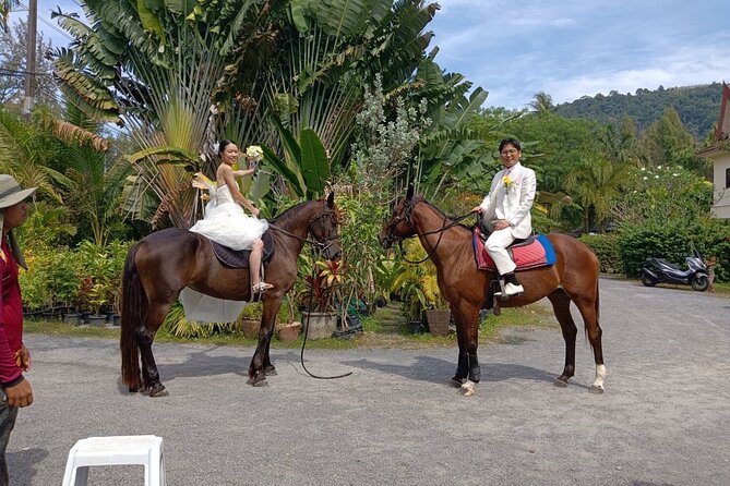 Beach Horse Riding Activity in Phuket - Value check: is $71 actually fair?