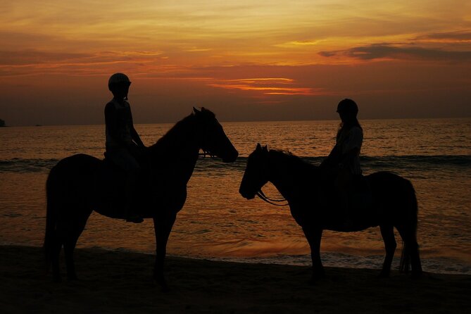 Beach Horse Riding At Sunset In Phuket - Horses, animal-welfare concerns, and what you should watch for