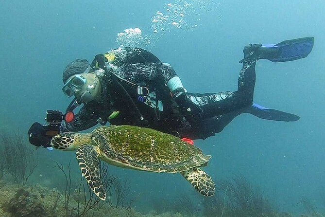Become certified diver in 3 days - PADI Open Water Diver course on Koh Tao - Day 1: manual chapters, training video parts, and first shallow-water skills at Nang Yuan