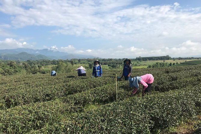 Best 2-Day: Explore Chiang Rai Landmarks from Chiang Mai, Private Trip - What to wear and pack for Chiang Rai temple days