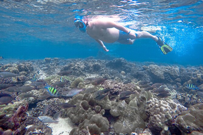 Best of Phi Phi Islands Snorkeling Tour from Phuket - Why Phi Phi feels different on a single full-day loop